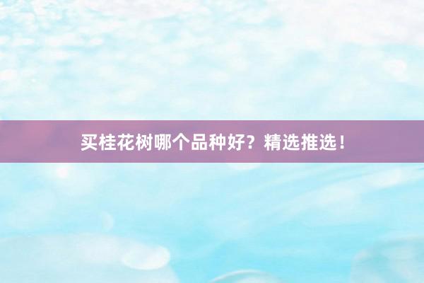 买桂花树哪个品种好？精选推选！