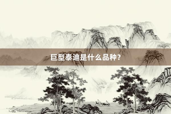 巨型泰迪是什么品种？